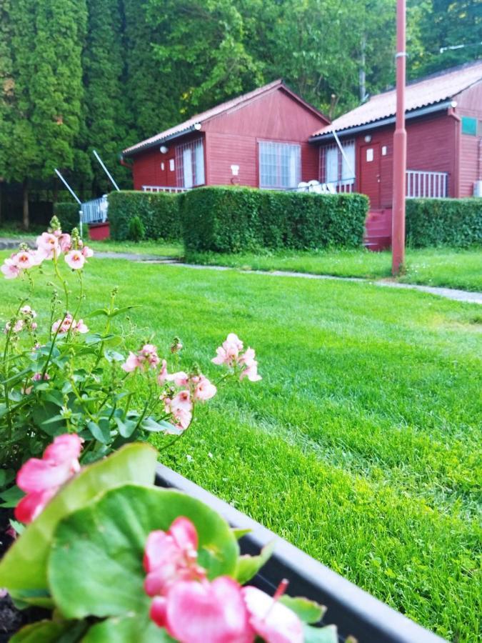 Apartment Mecsek Viragai Lak