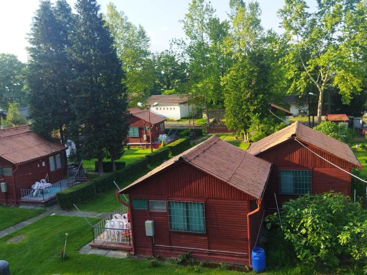 Apartment Mecsek Viragai Lak